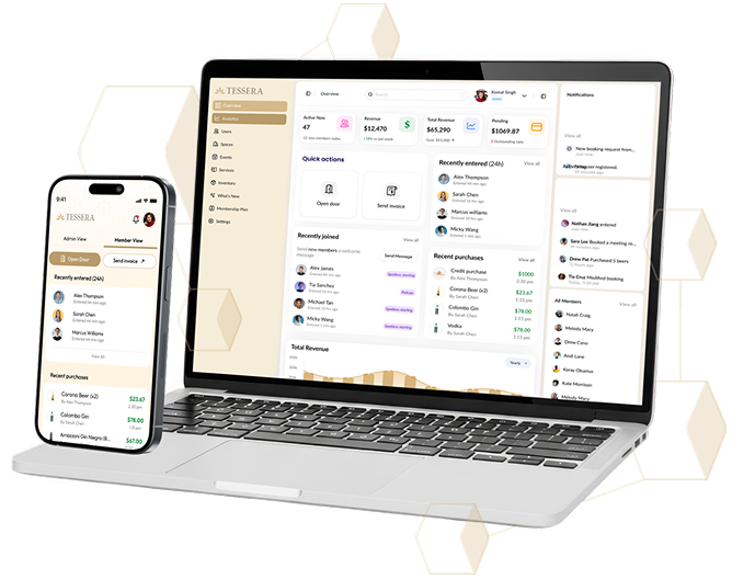 Tessera dashboard on laptop and mobile
